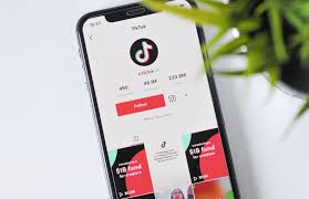 Everything you need to know about American TikTok .. a digital adventure